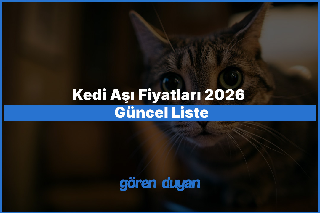Kedi Aşı Fiyatları 2026 - Güncel Liste ve Eksiksiz Aşı Takvimi Rehberi