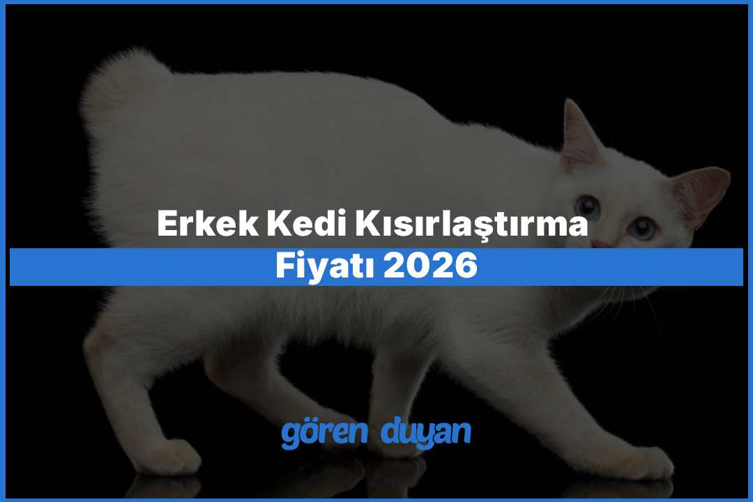 Erkek Kedi Kısırlaştırma Fiyatı 2026