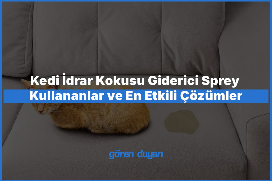 Kedi İdrar Kokusu Giderici Sprey Kullananlar ve En Etkili Çözümler