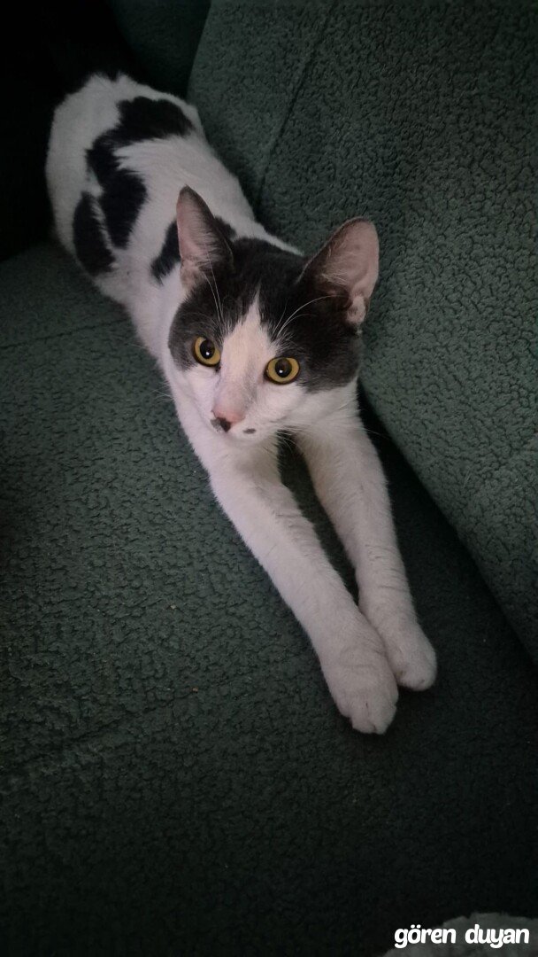 Zeynep