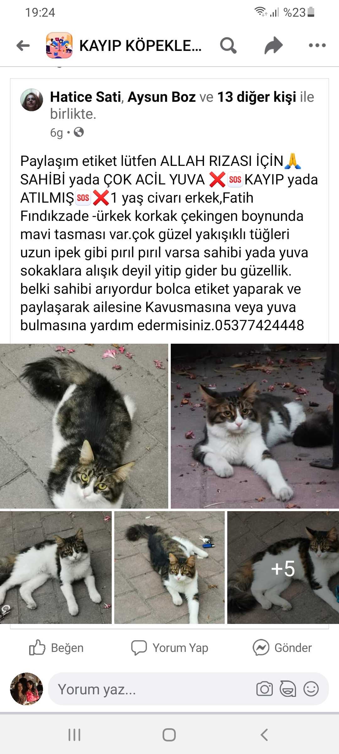 Ayse dogan