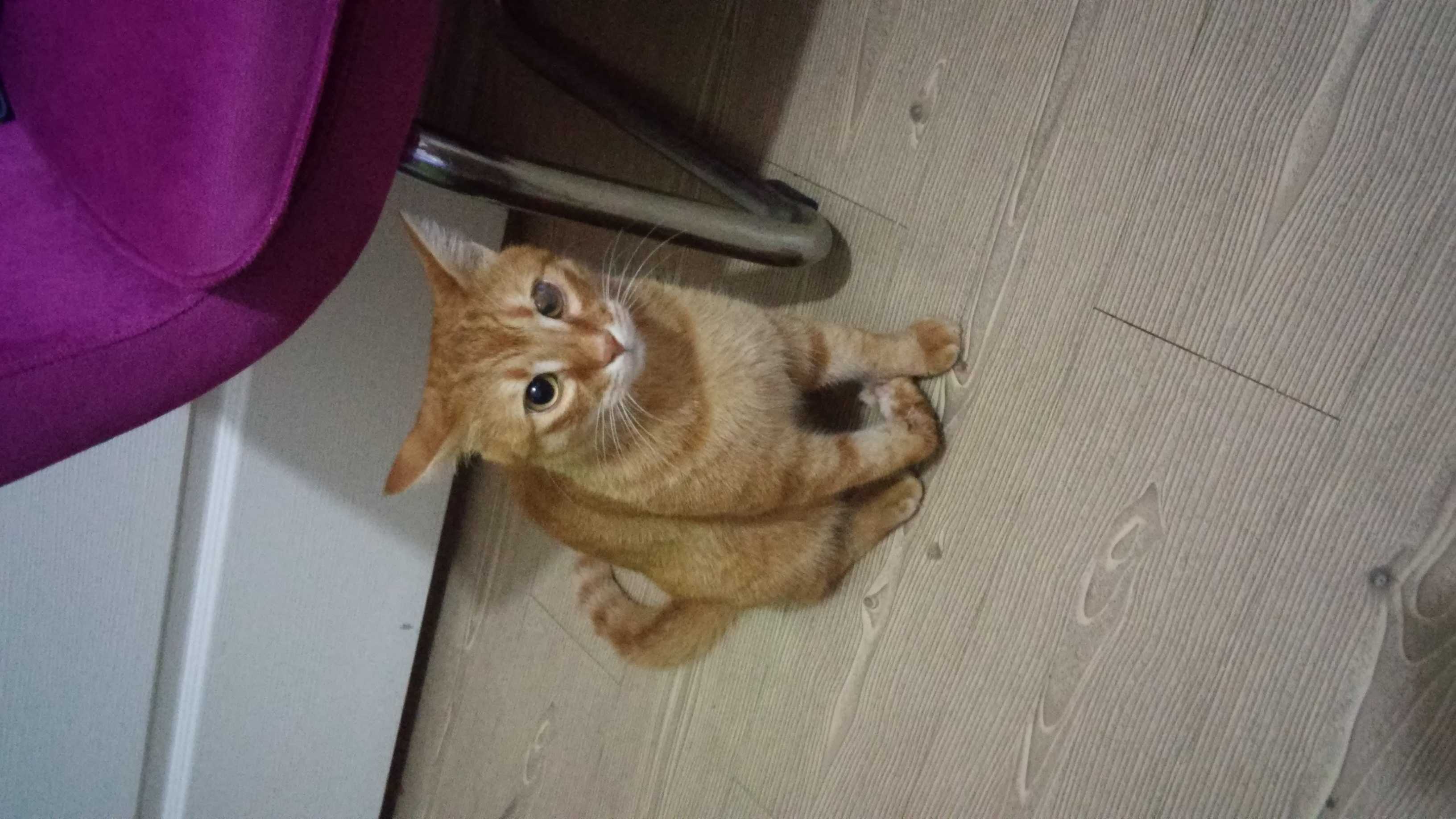 efefefef efef 