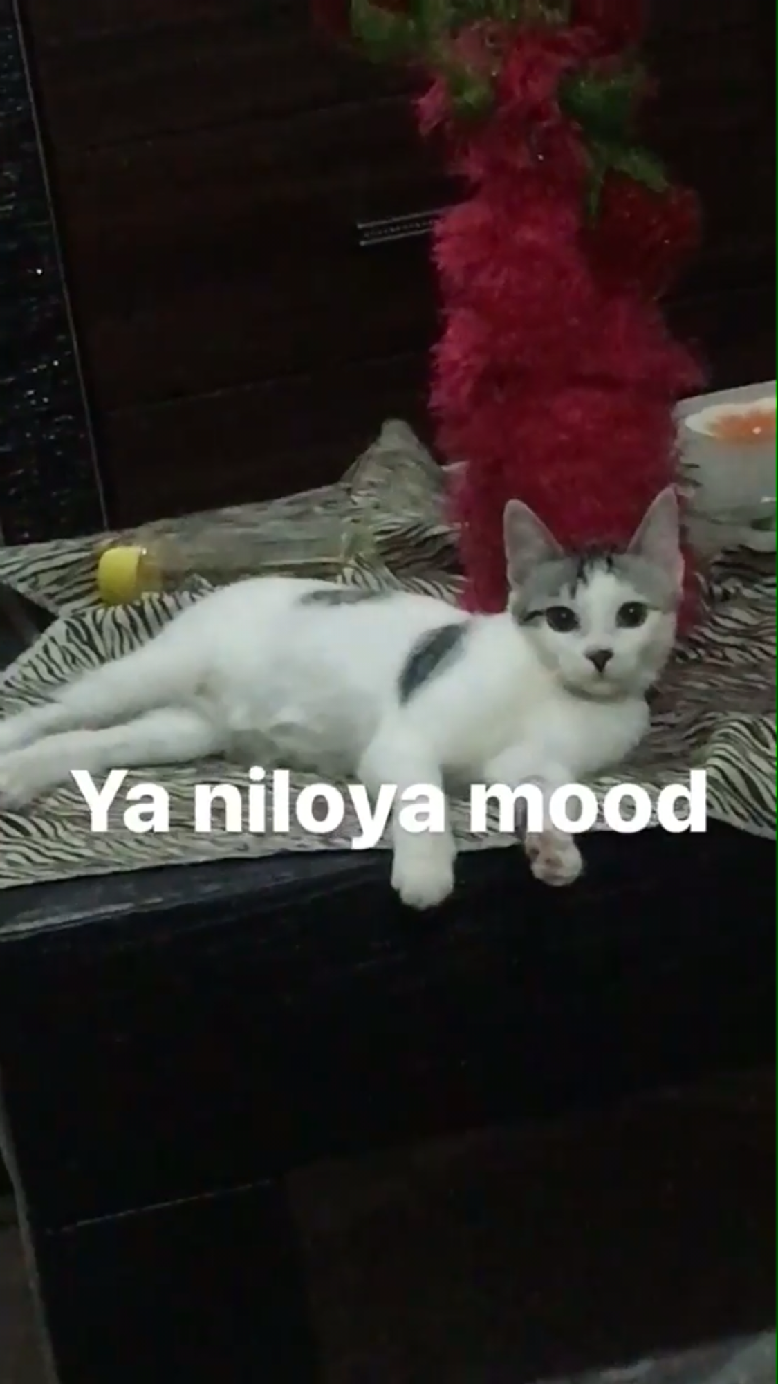Bulana 1000 tl ödül