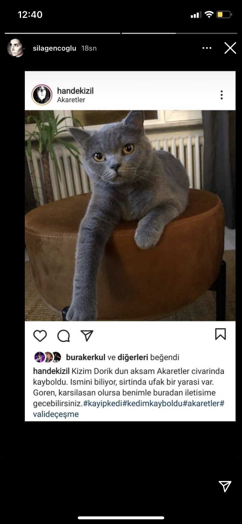 Gözde Korak