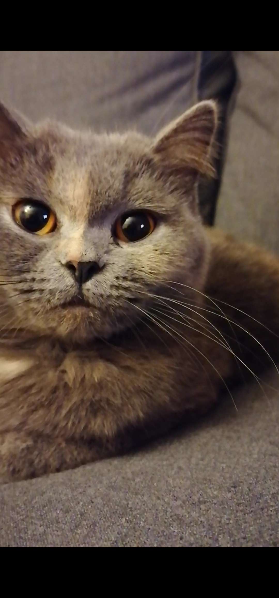 Kayıp 