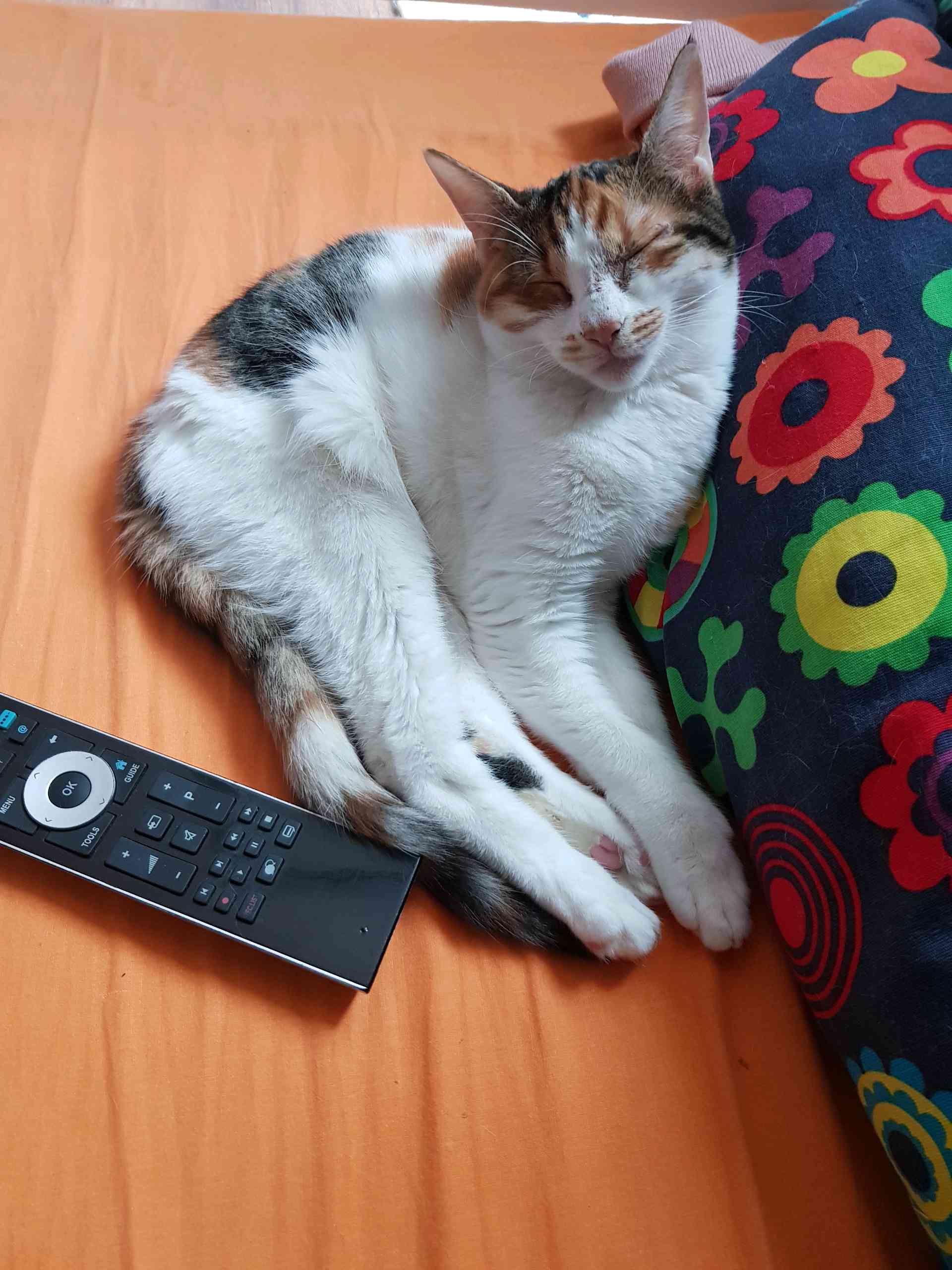 Evladim kayıp!