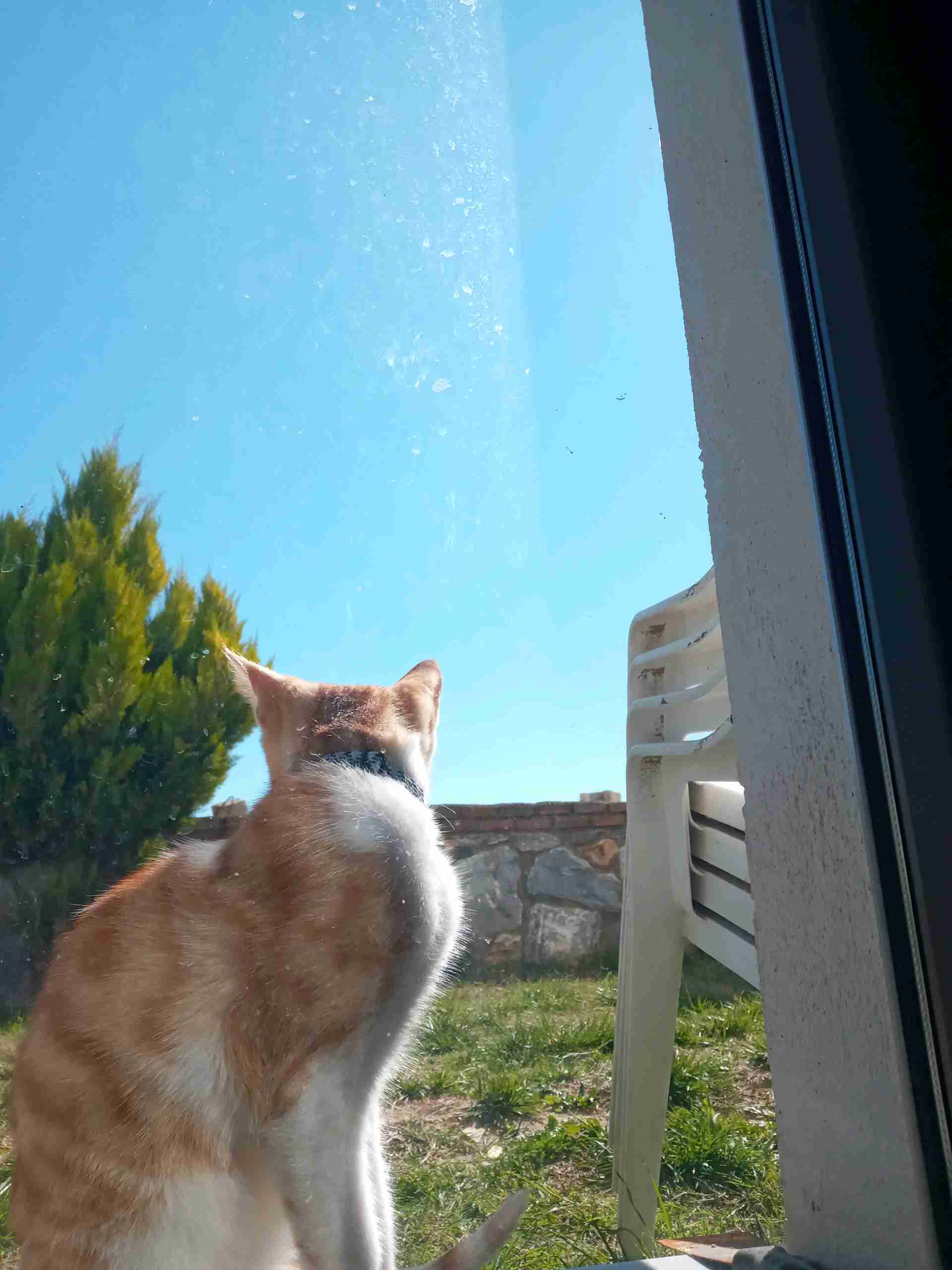 İSMİ LİLA, ERKEK.