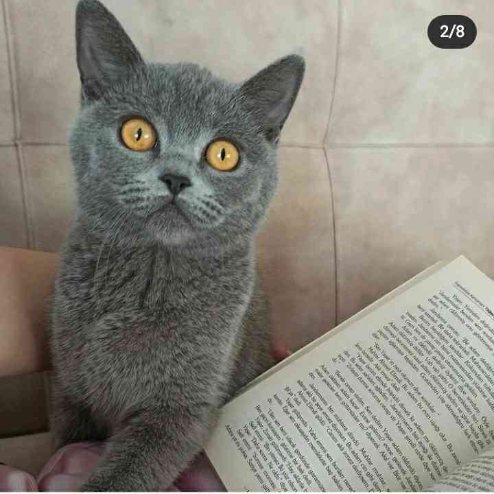 kadın kayıp 5bin tl ödül