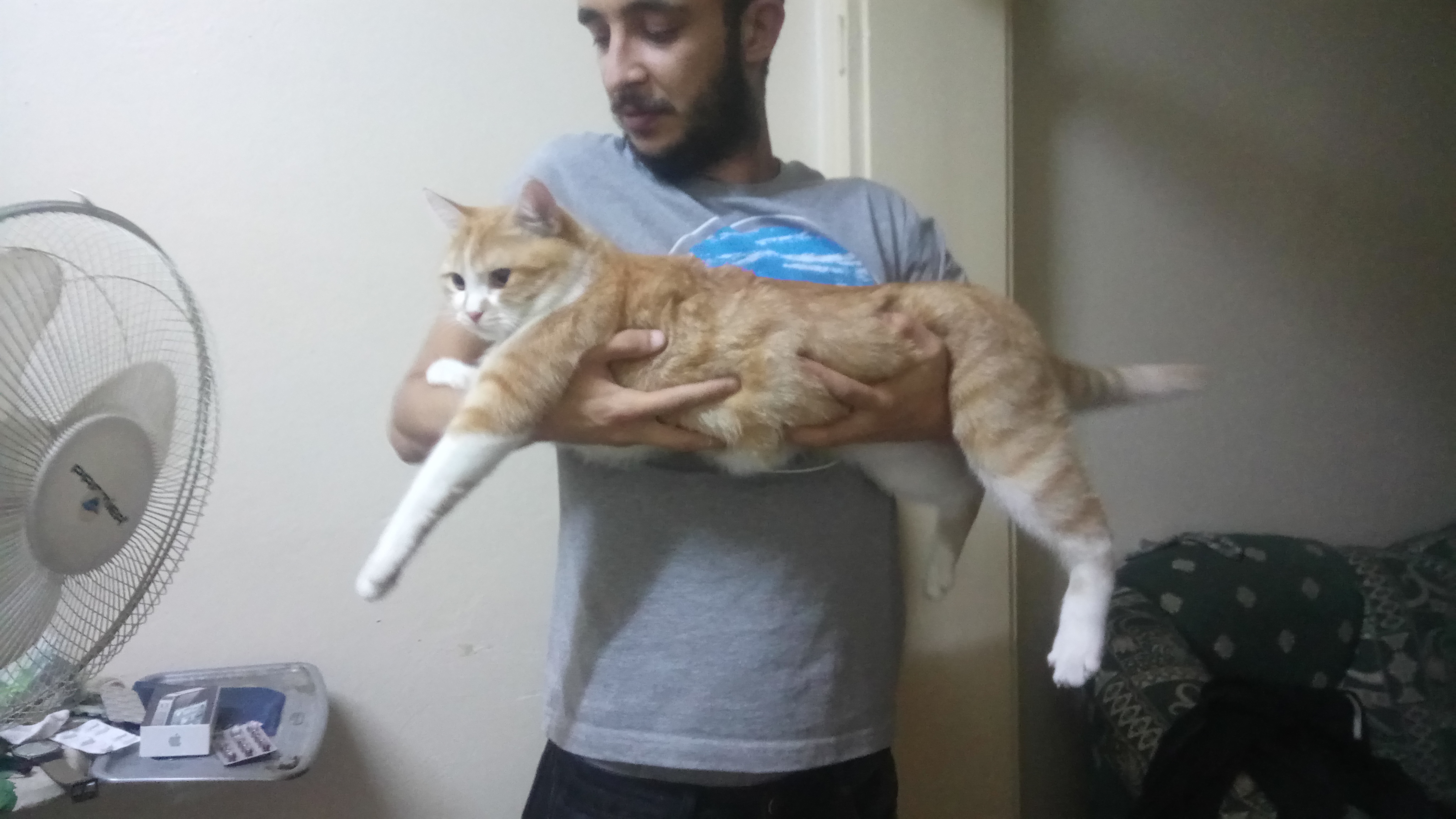 Kayıp 