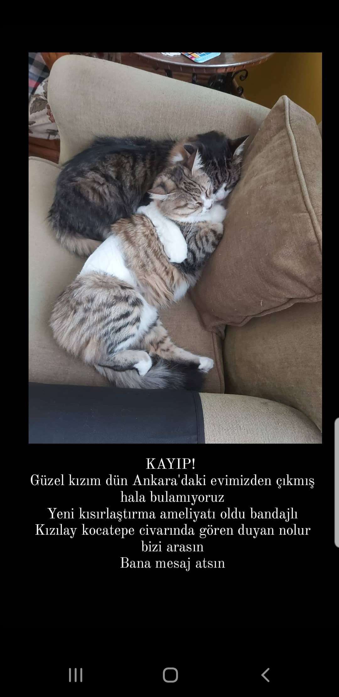 Kızım kayıp