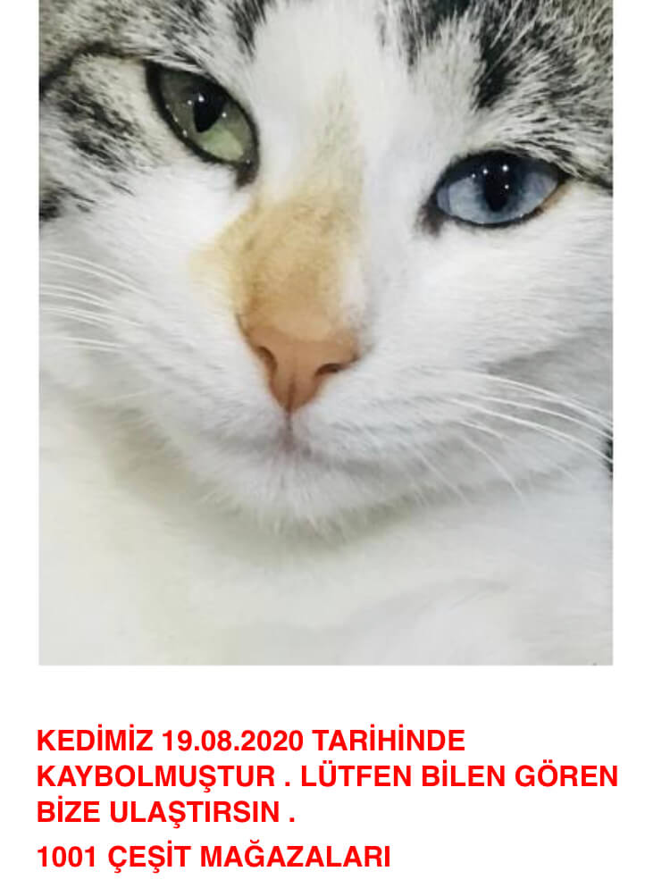 Ece duygu