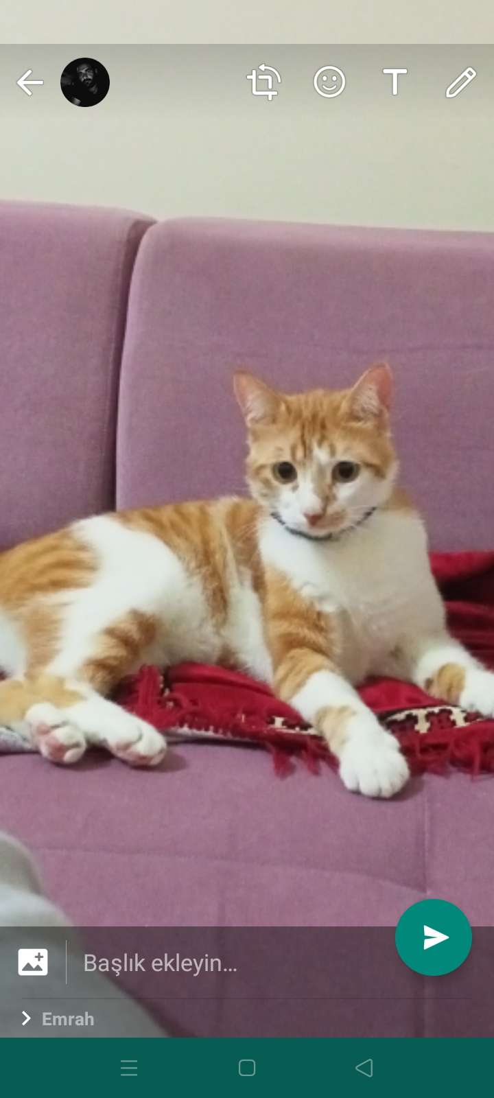Kayıp 