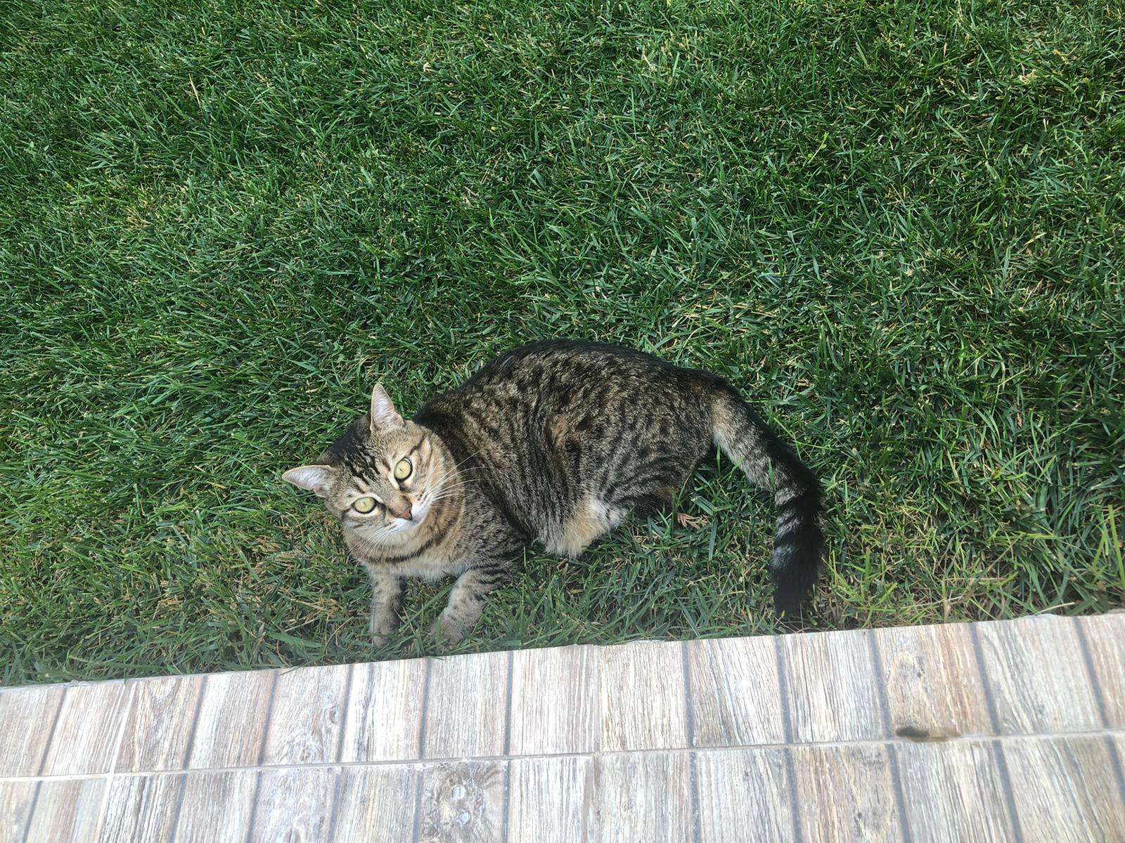 İzmir depreminde kayboldu