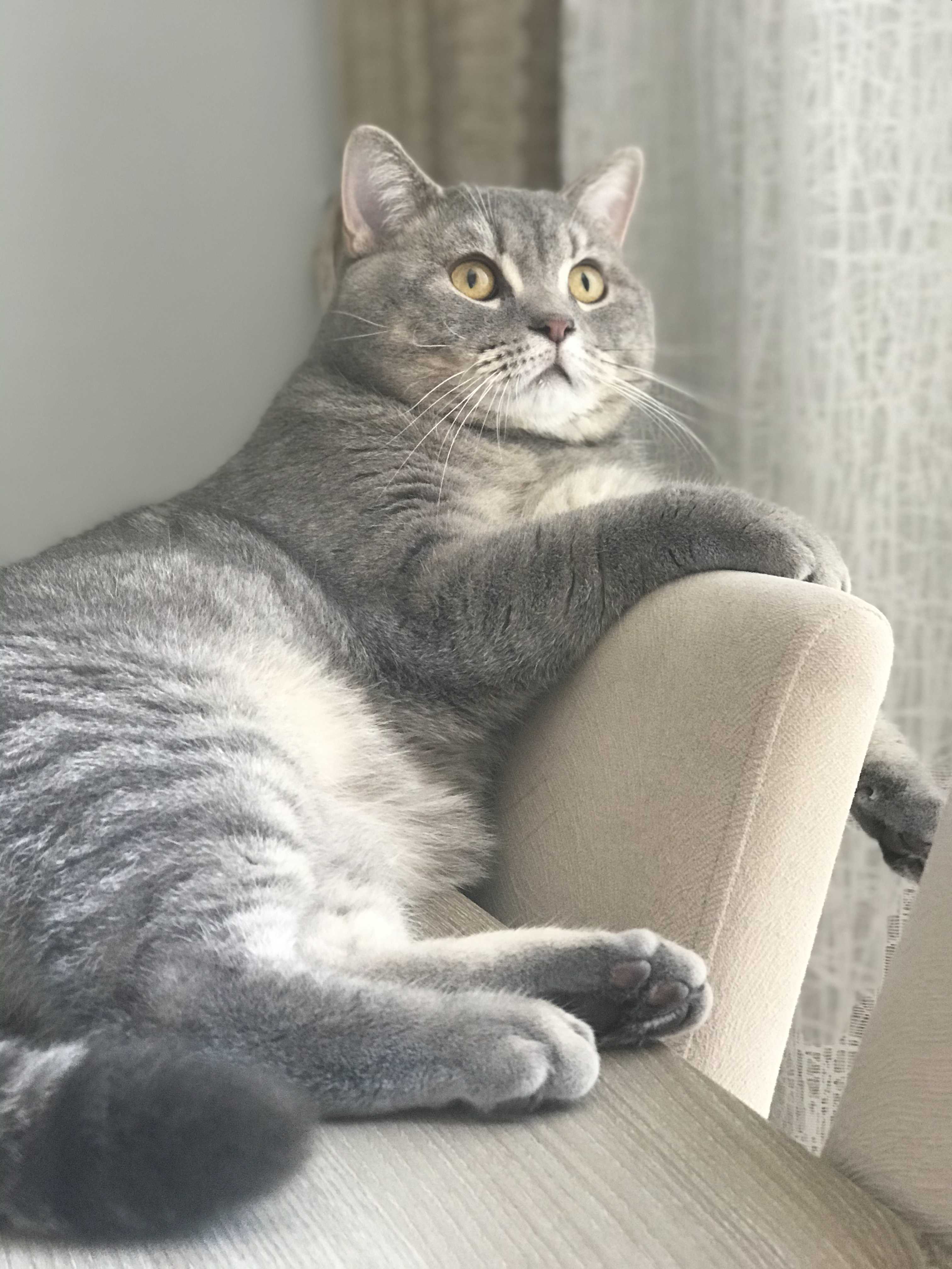 Züleyha Moğultay
