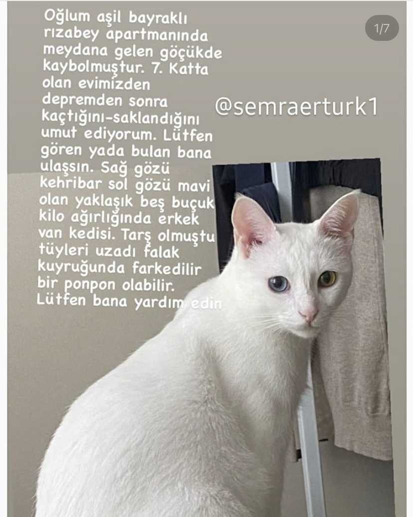 Semra Ertürk