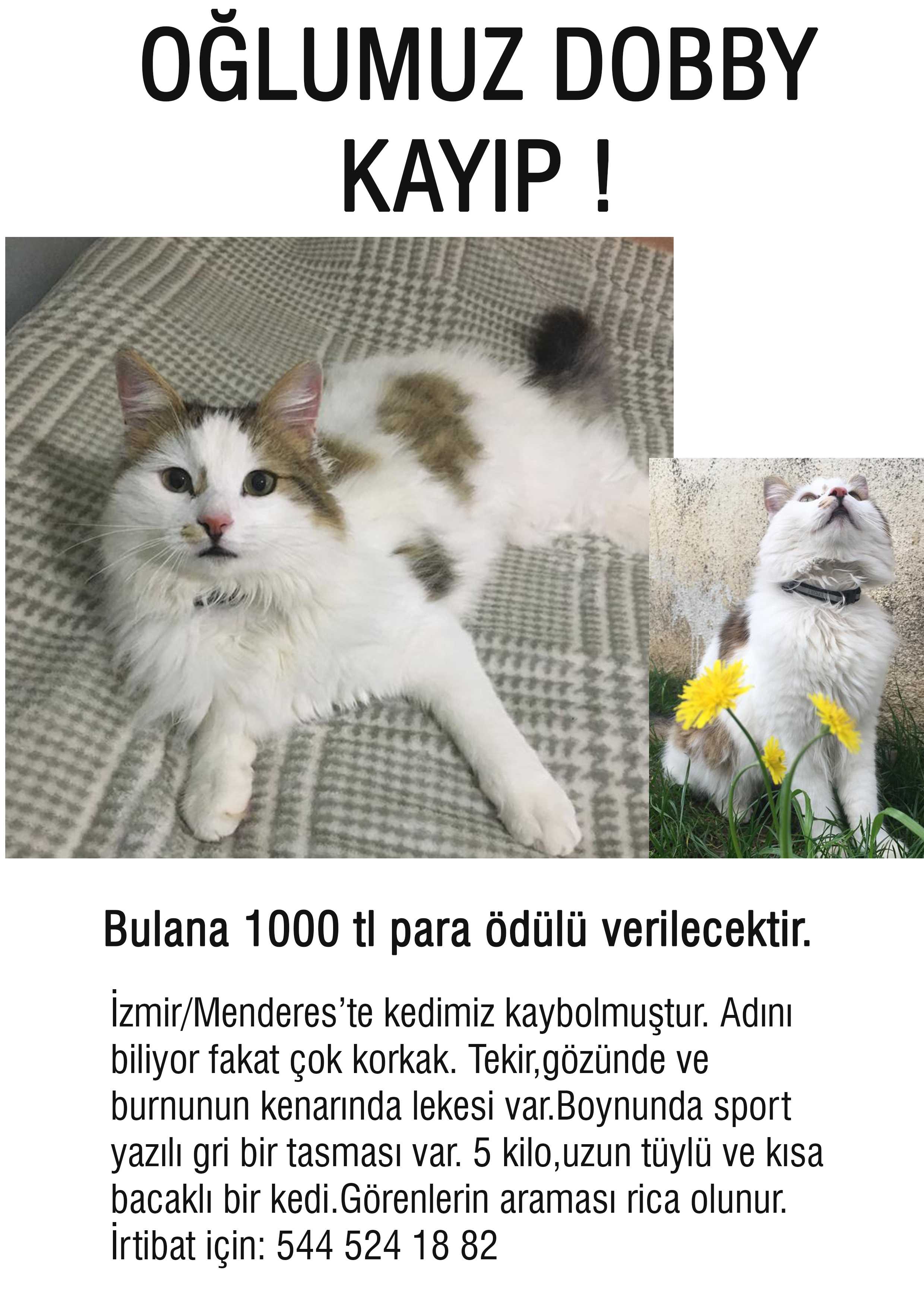 İlkyaz Uysal