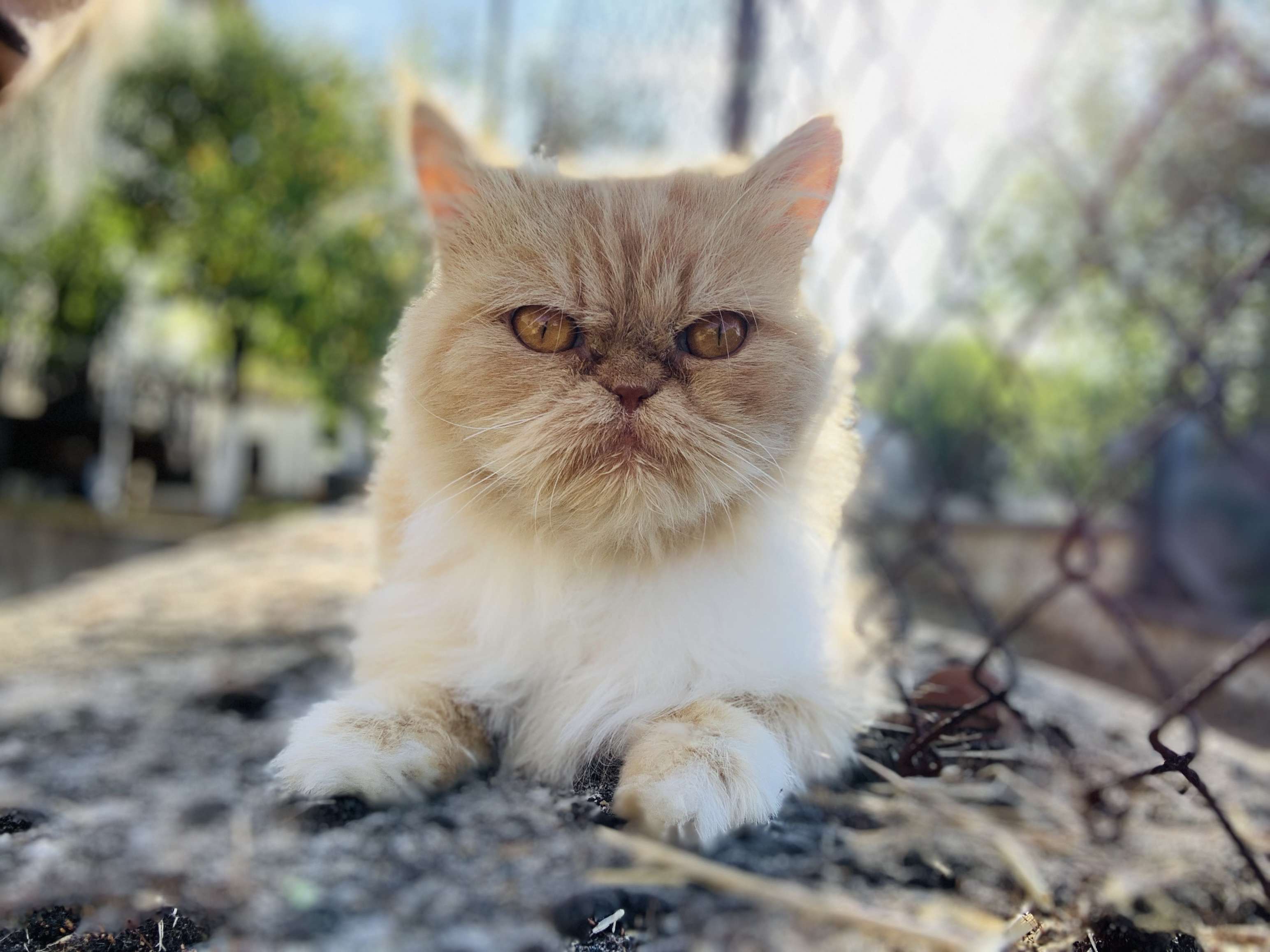 Kayıp 