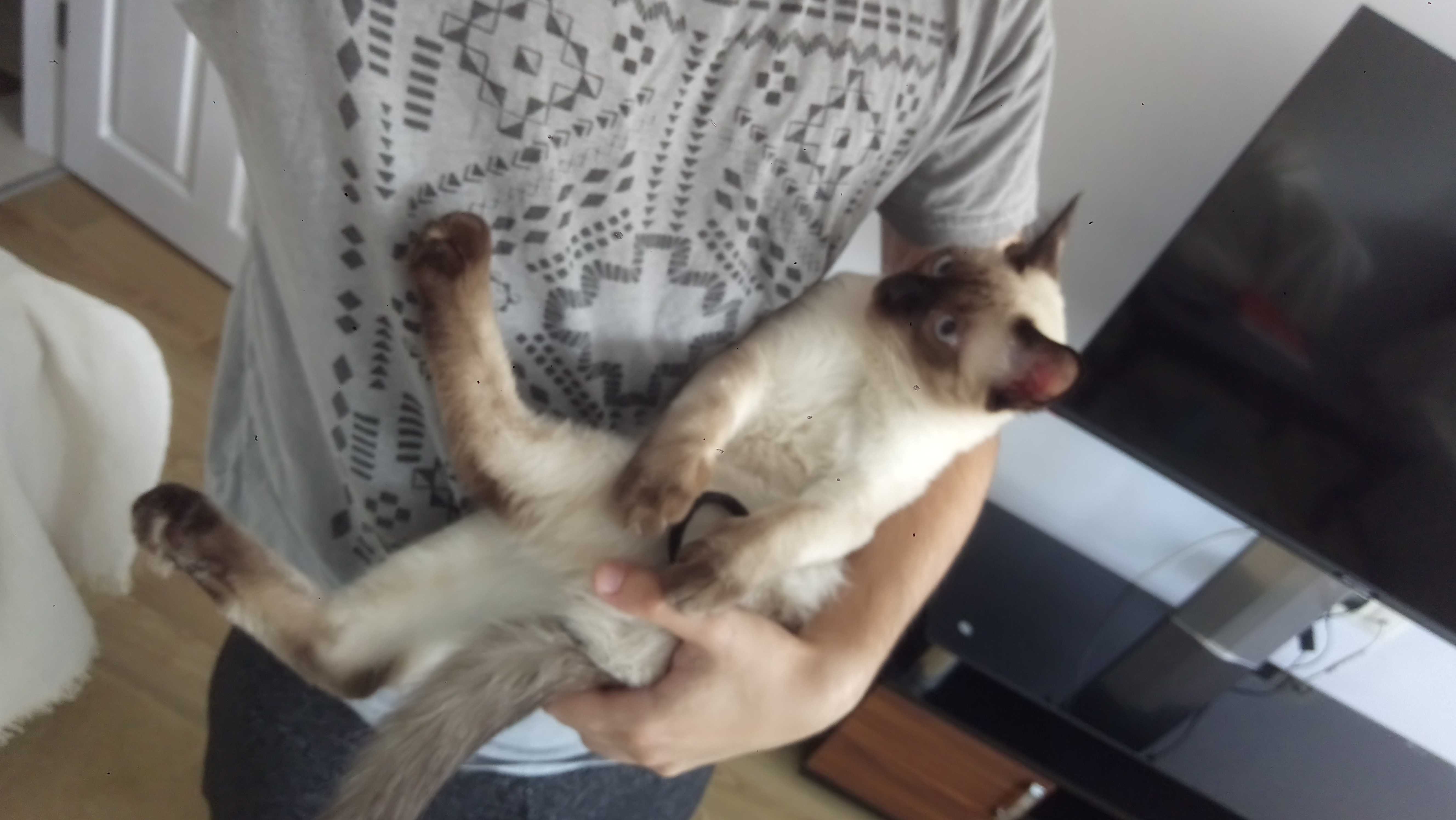 Bura Berk Özaltın