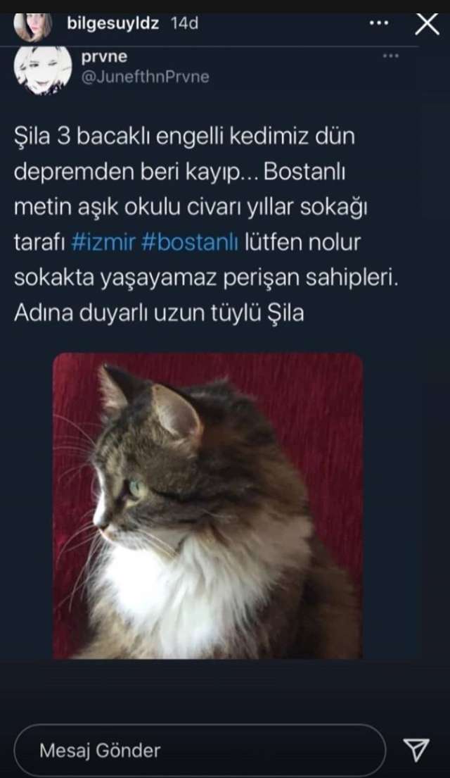 Şila 3 bacaklı, uzun tüylü  