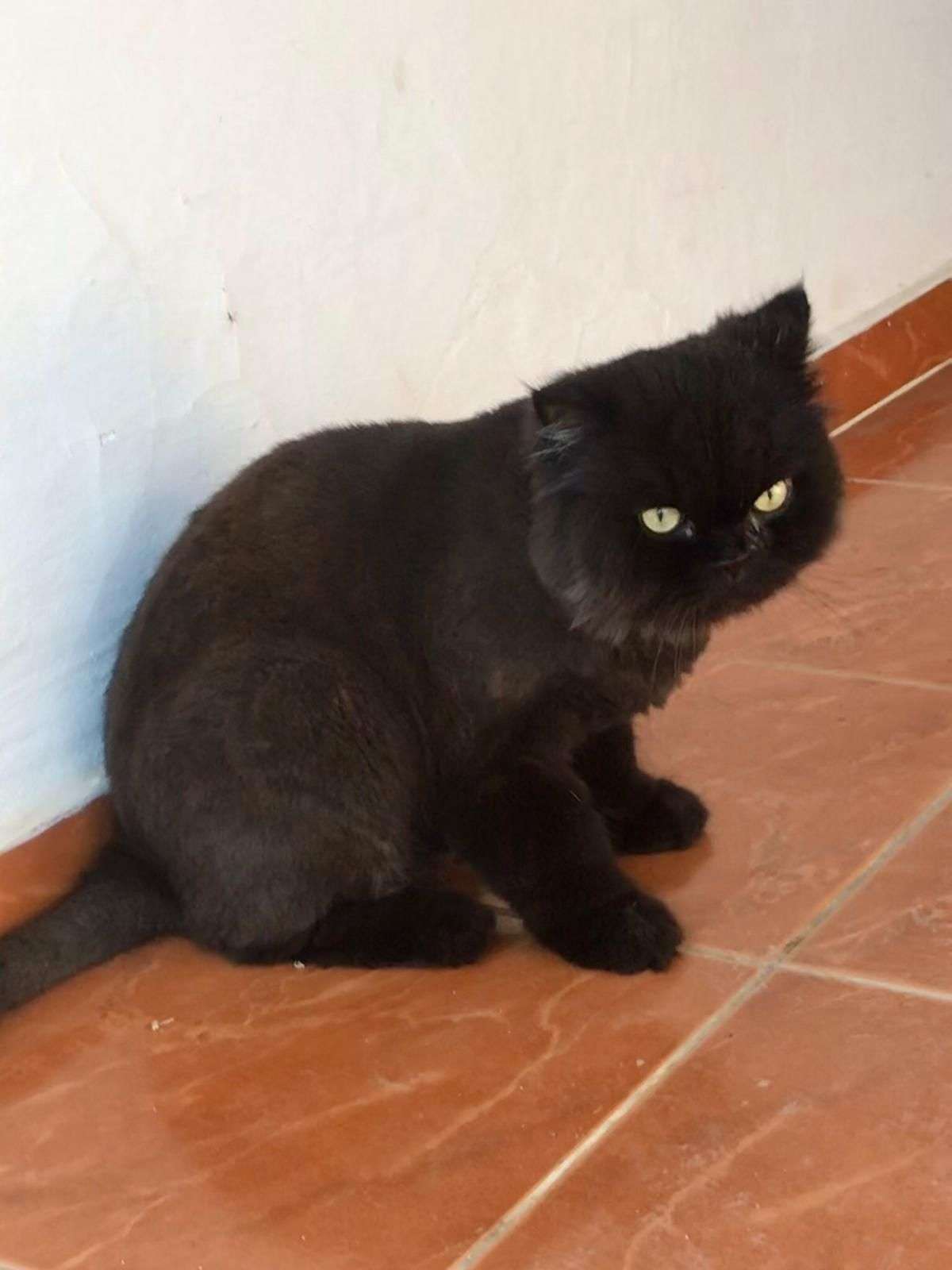 BULANA PARA ÖDÜLÜ!!! 