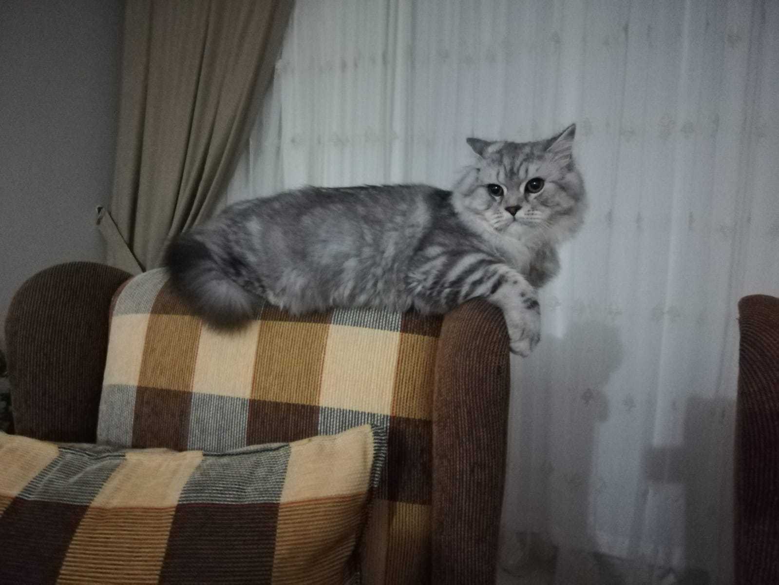 ilhan günay 
