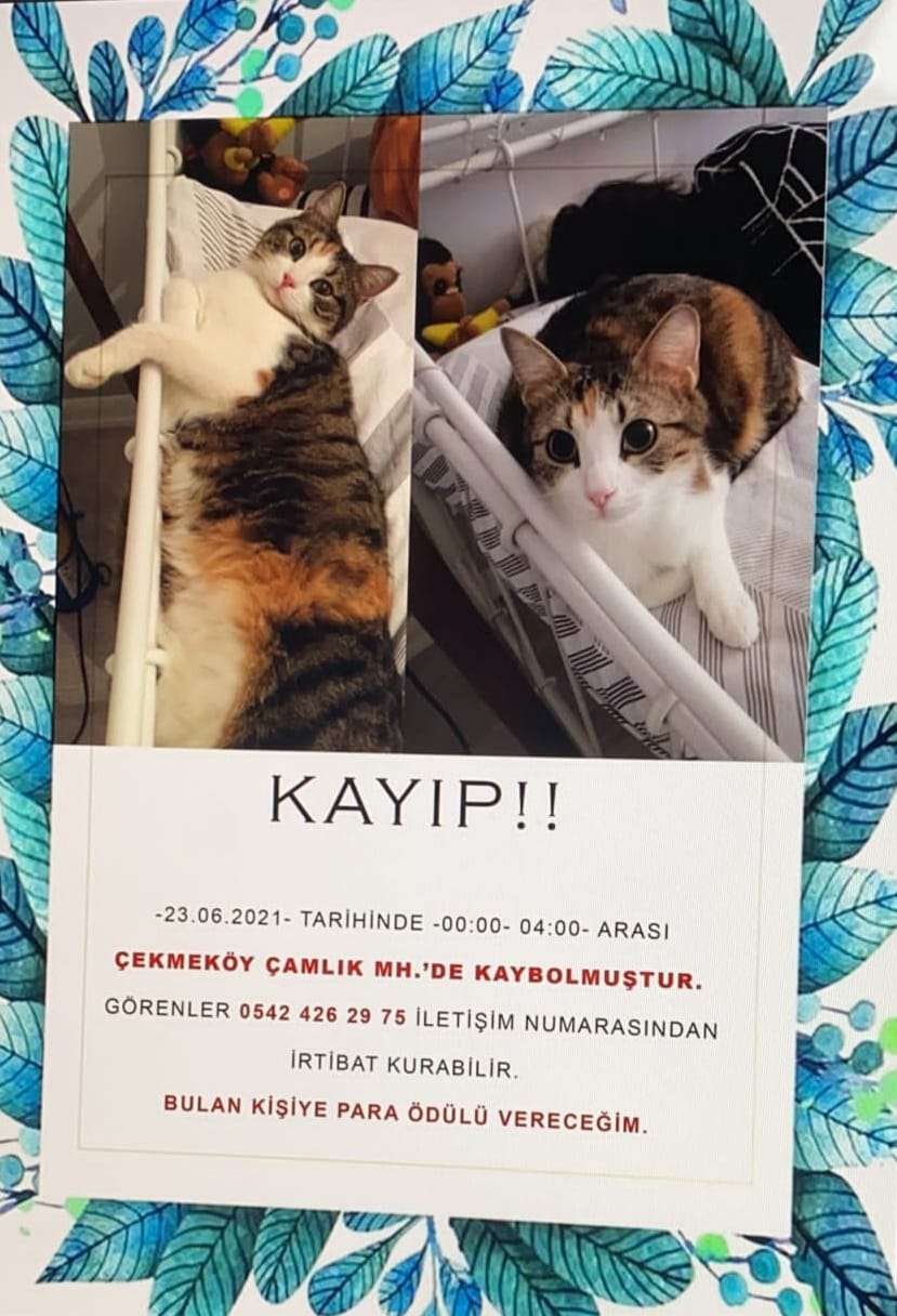 Lütfen yardım edin :(