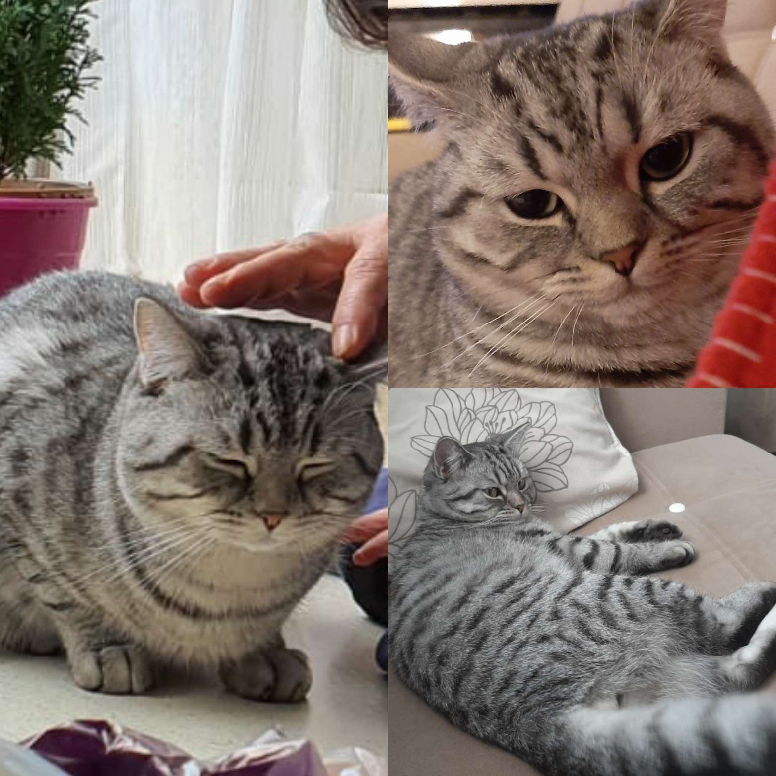 Batikent Ankara