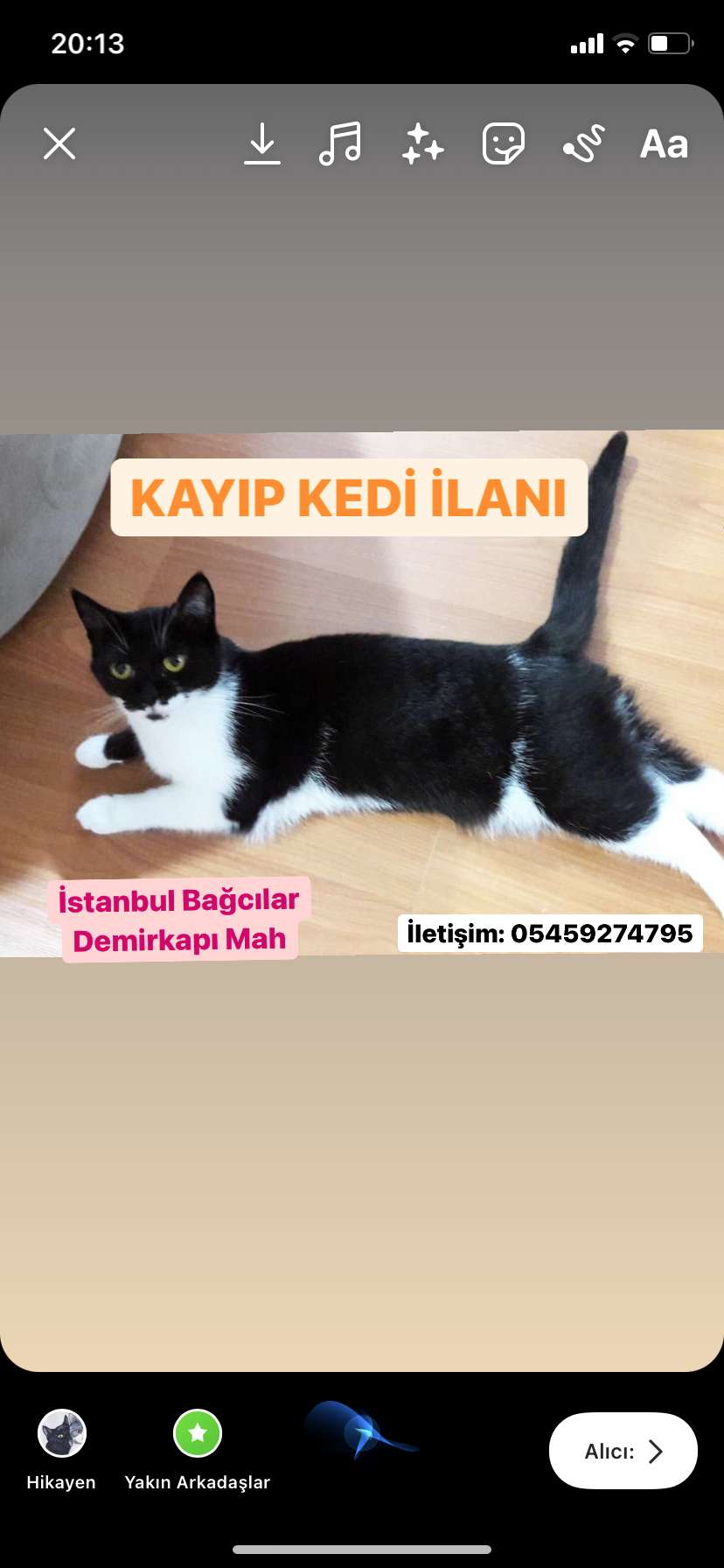 Bağcılar Kayıp Kedi