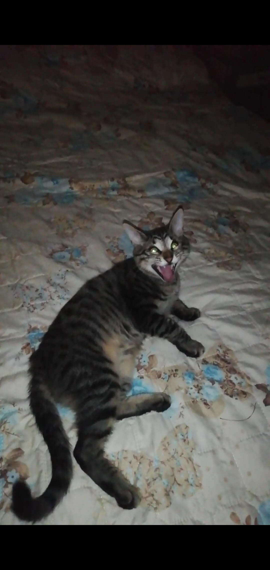 kayıp