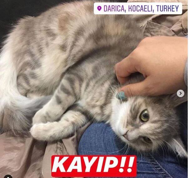 20 GÜNDÜR KAYIP!!!!