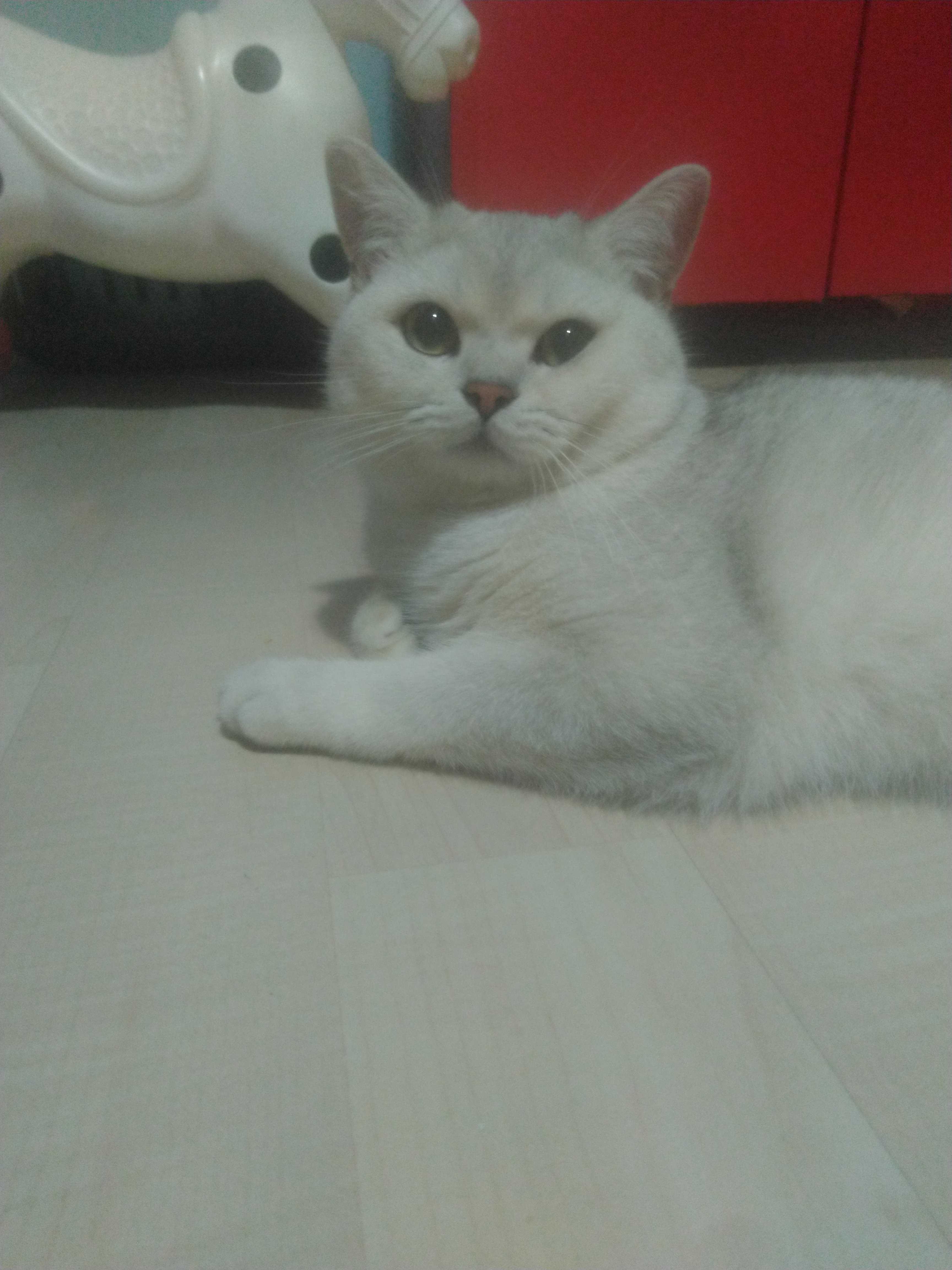 Naciye uğur