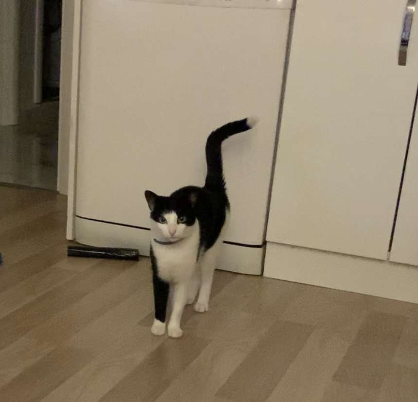 İstanbul Teşvikiye 2 gündür kayıp