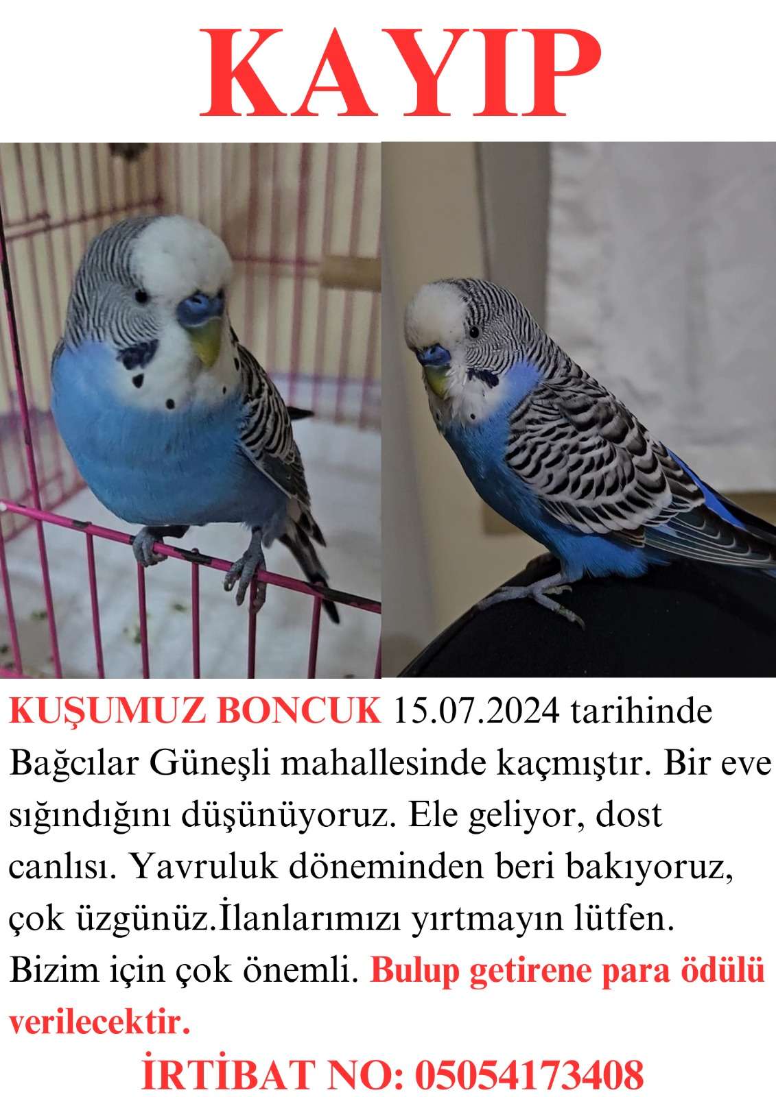 Boncuk kayıp