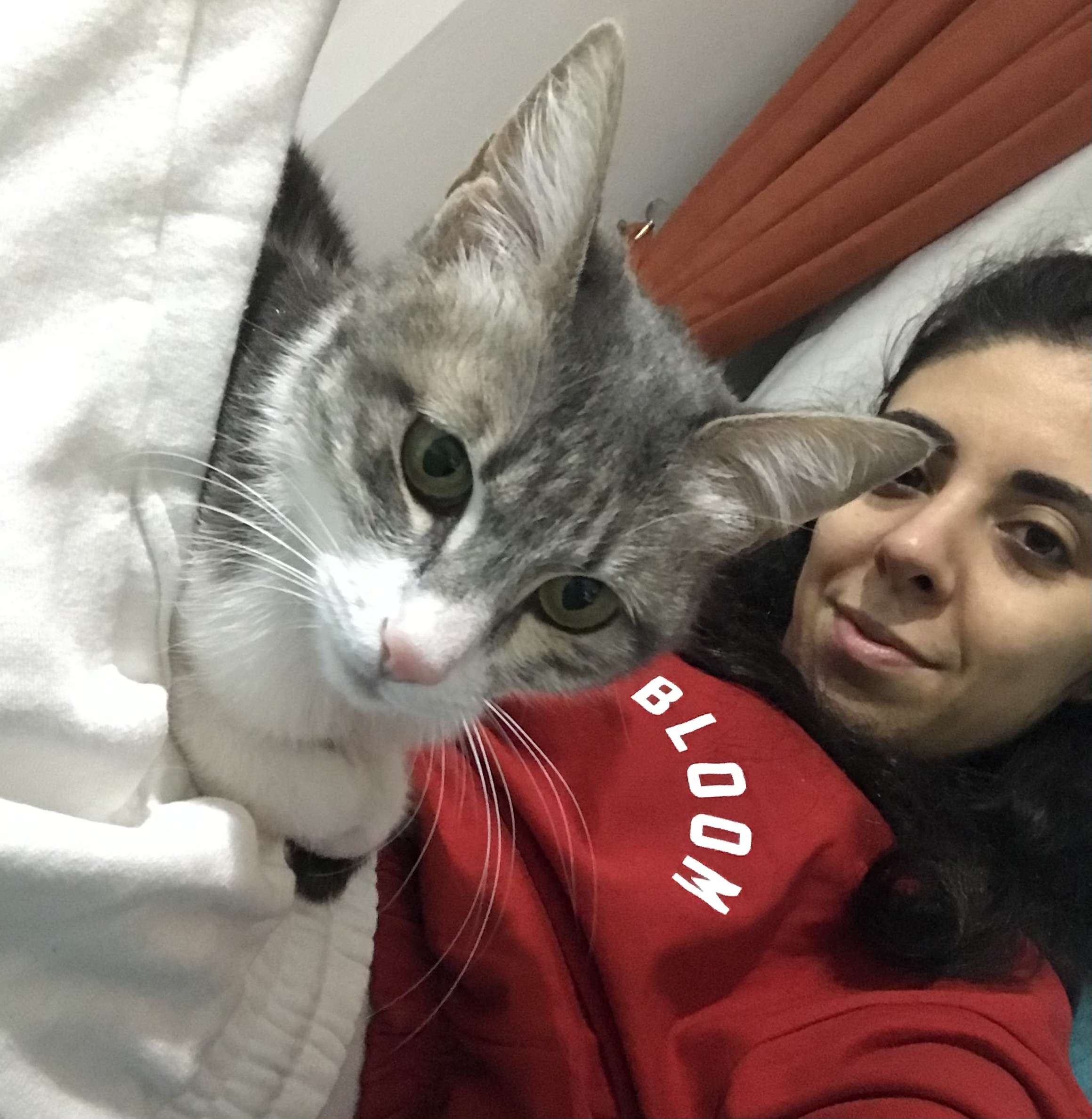 Çok çok acil