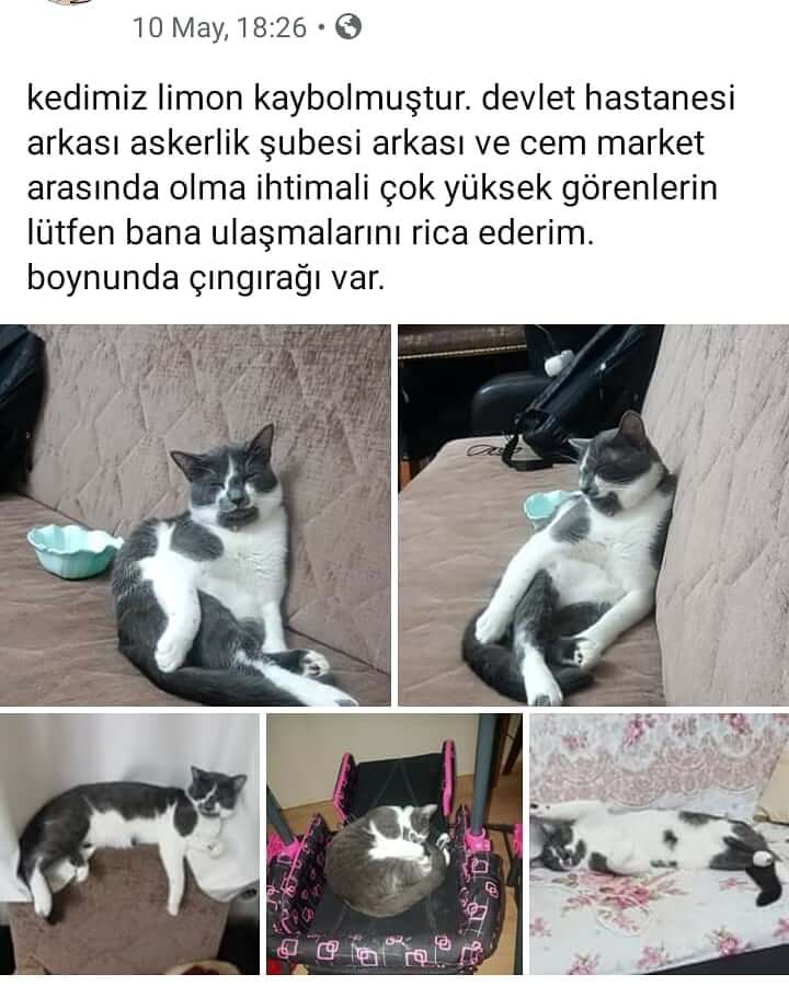 Tekirdağda kayıp aranıyor