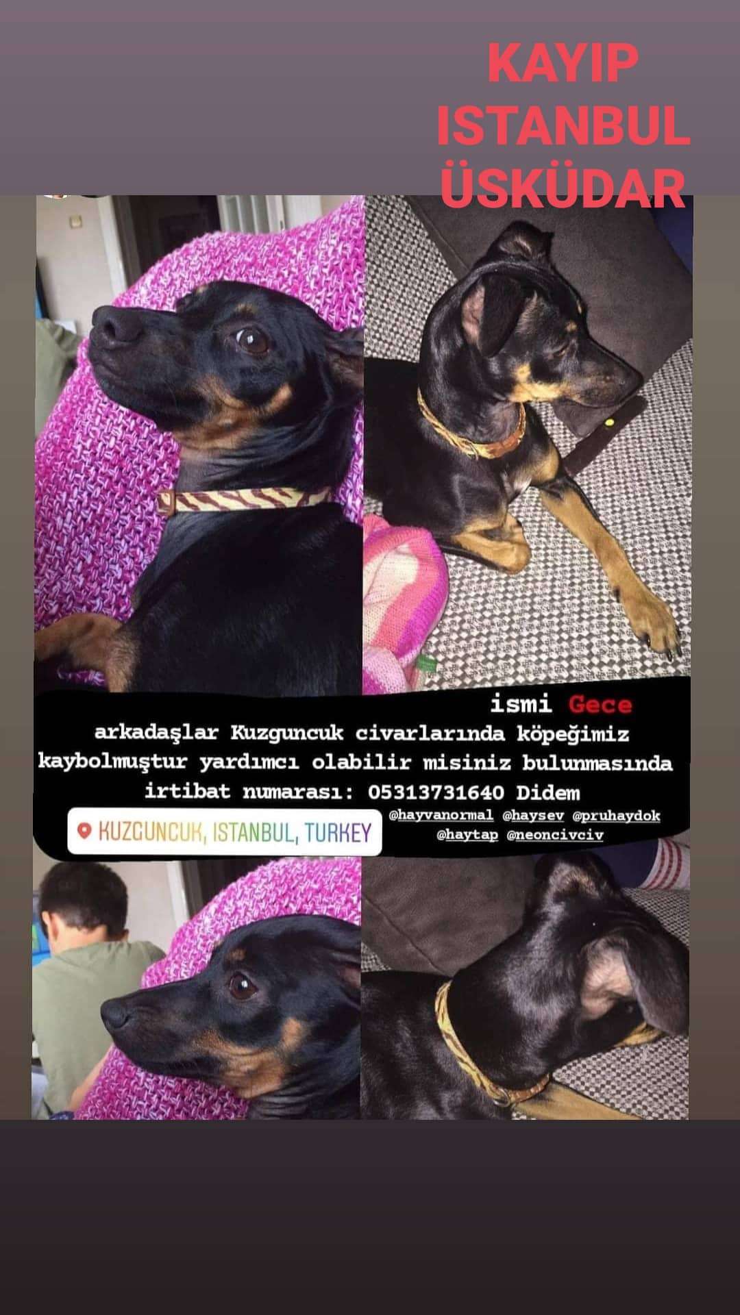 Kayıp