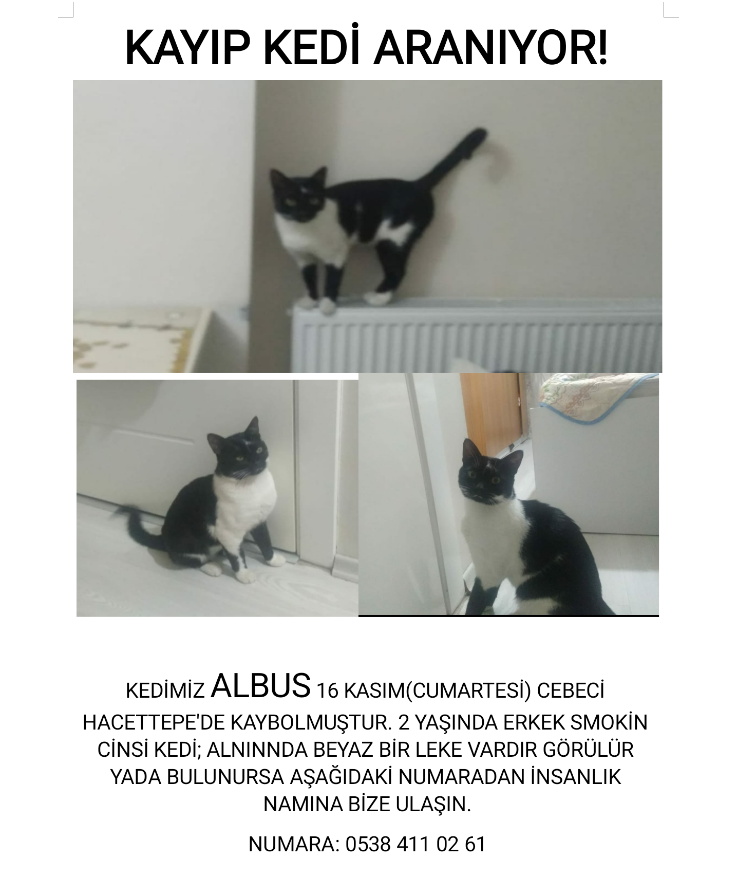 2 haftadır kauıp