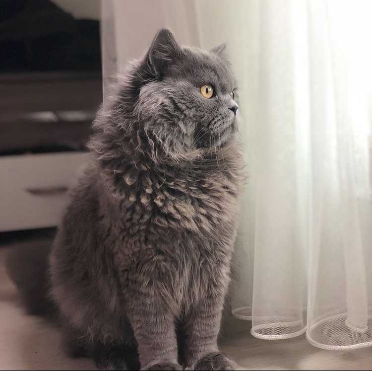 Rojin Özalp 