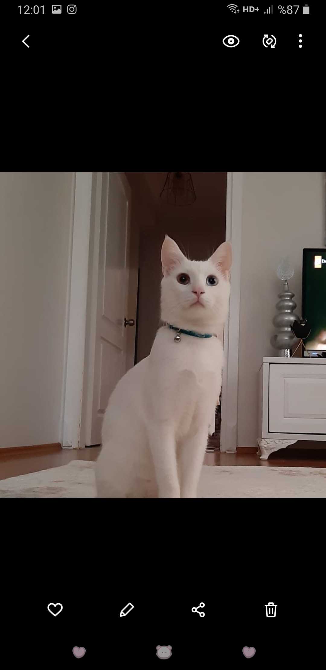 İrem Ela Çelen