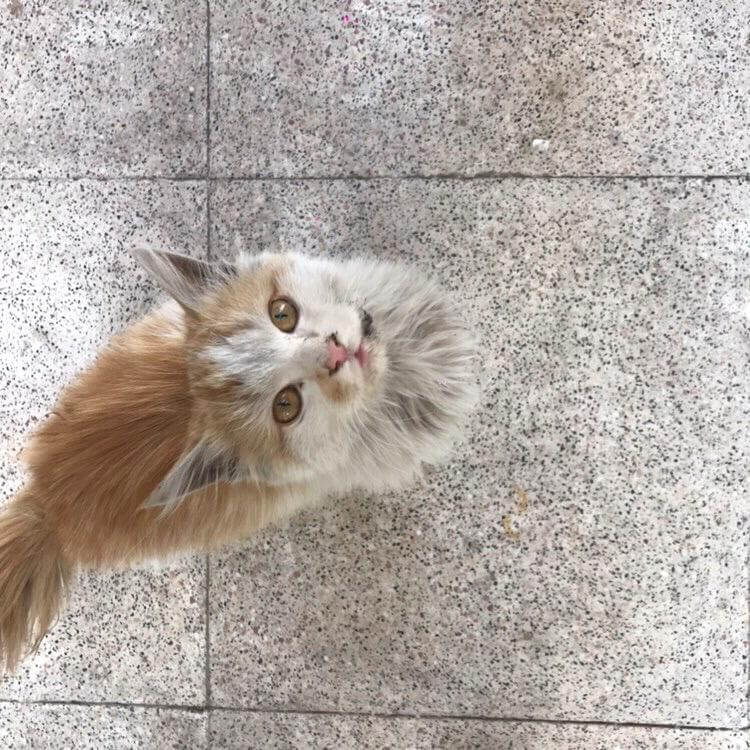 İzmir Özkanlar Manavkuyu 