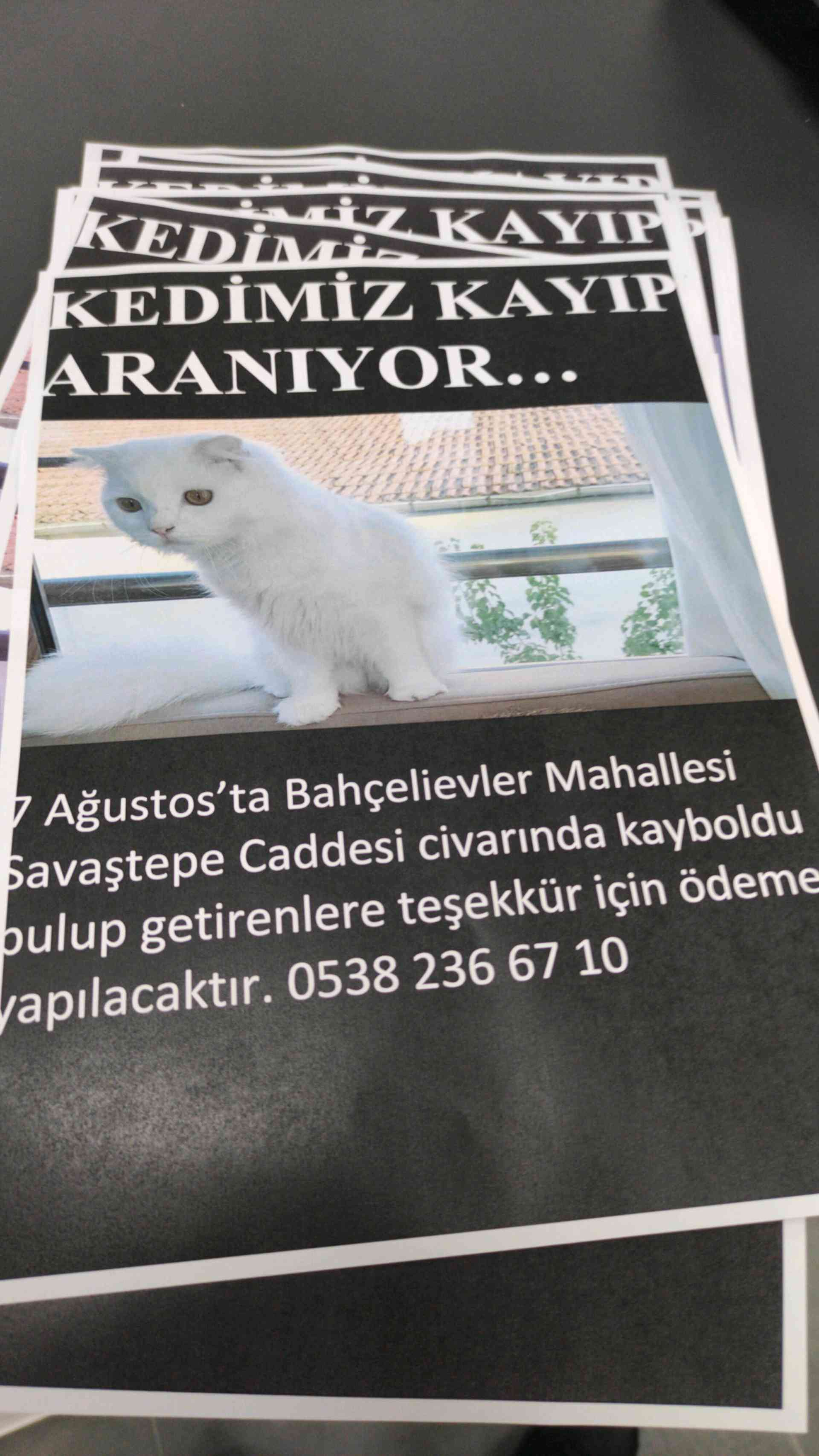 bulana ödül verilecektir