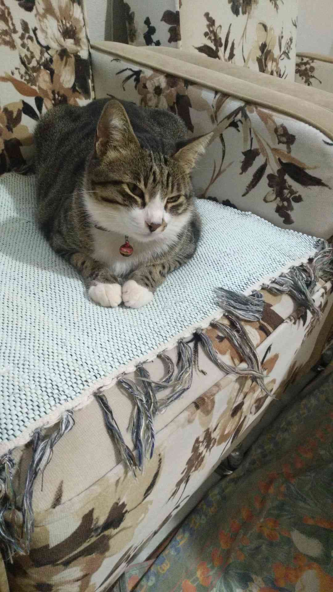 biricik yavrumuz çakıl