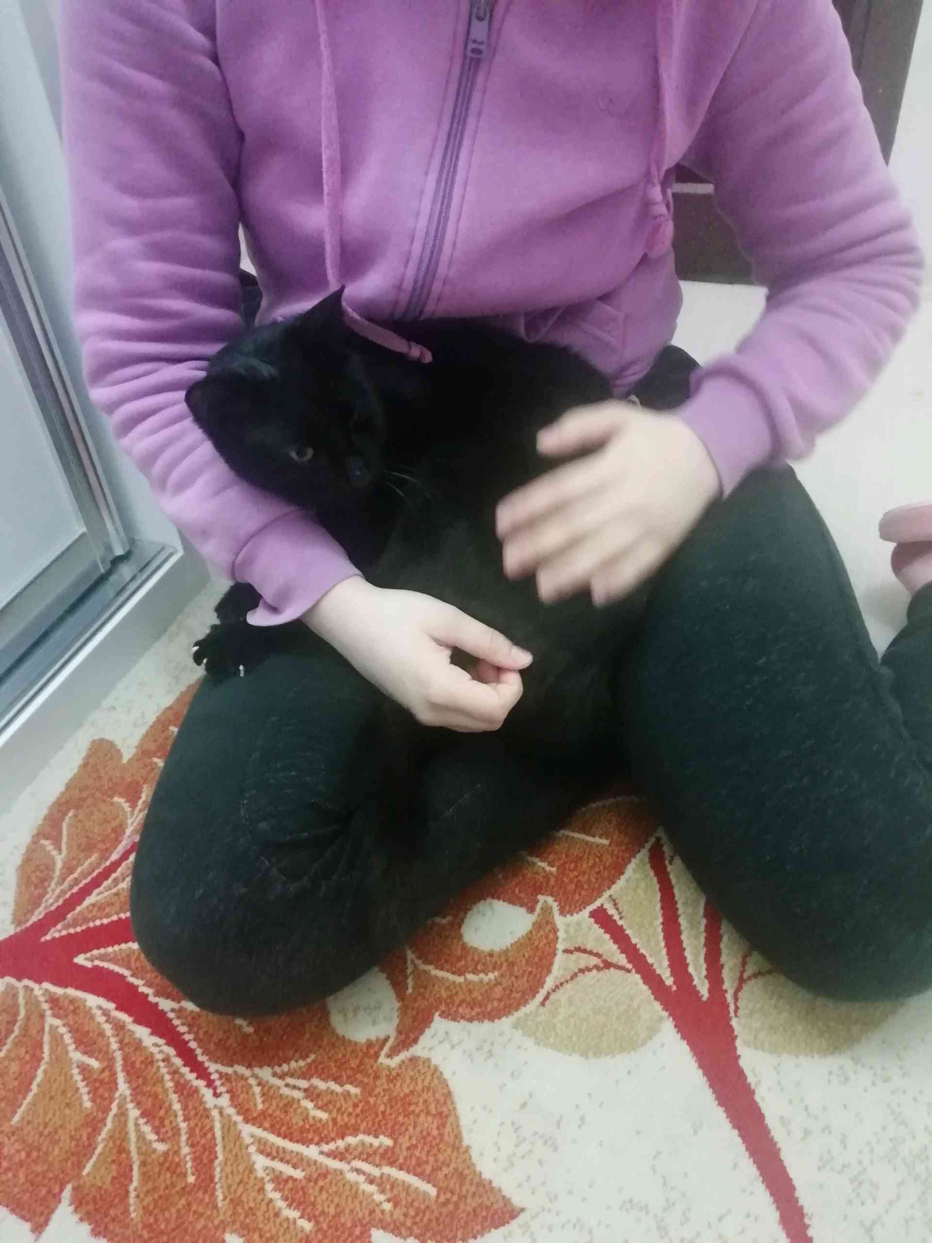 Siyah bir oğlan çocuğu 