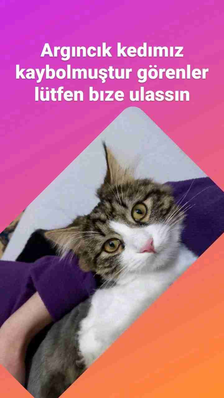dleksakine