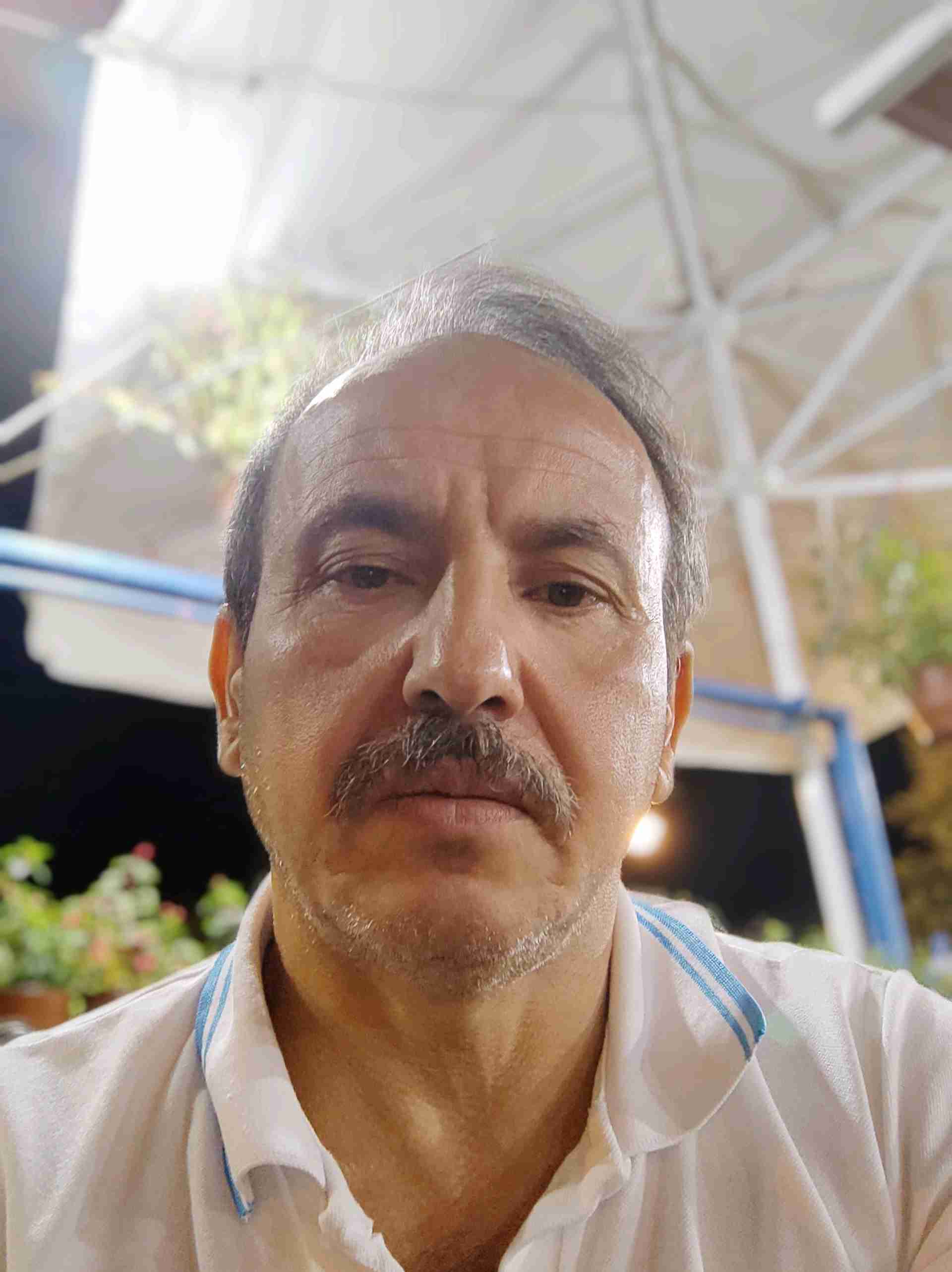 yunussever