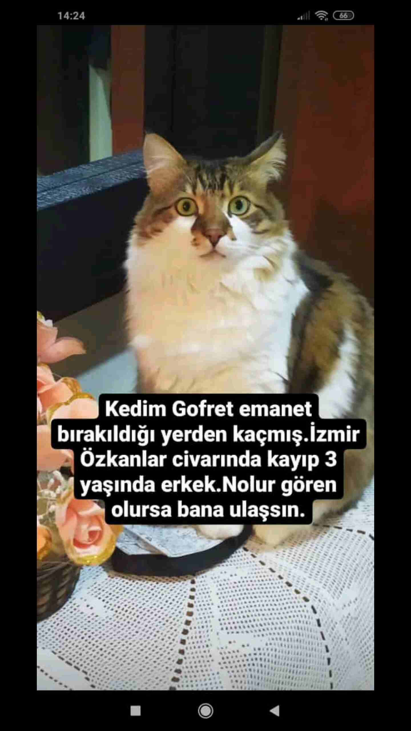 dhdidhdkdh