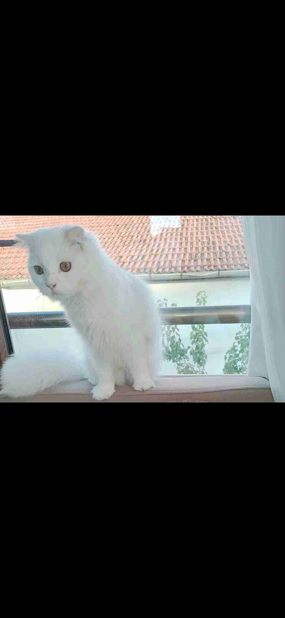 Fatih BOZ