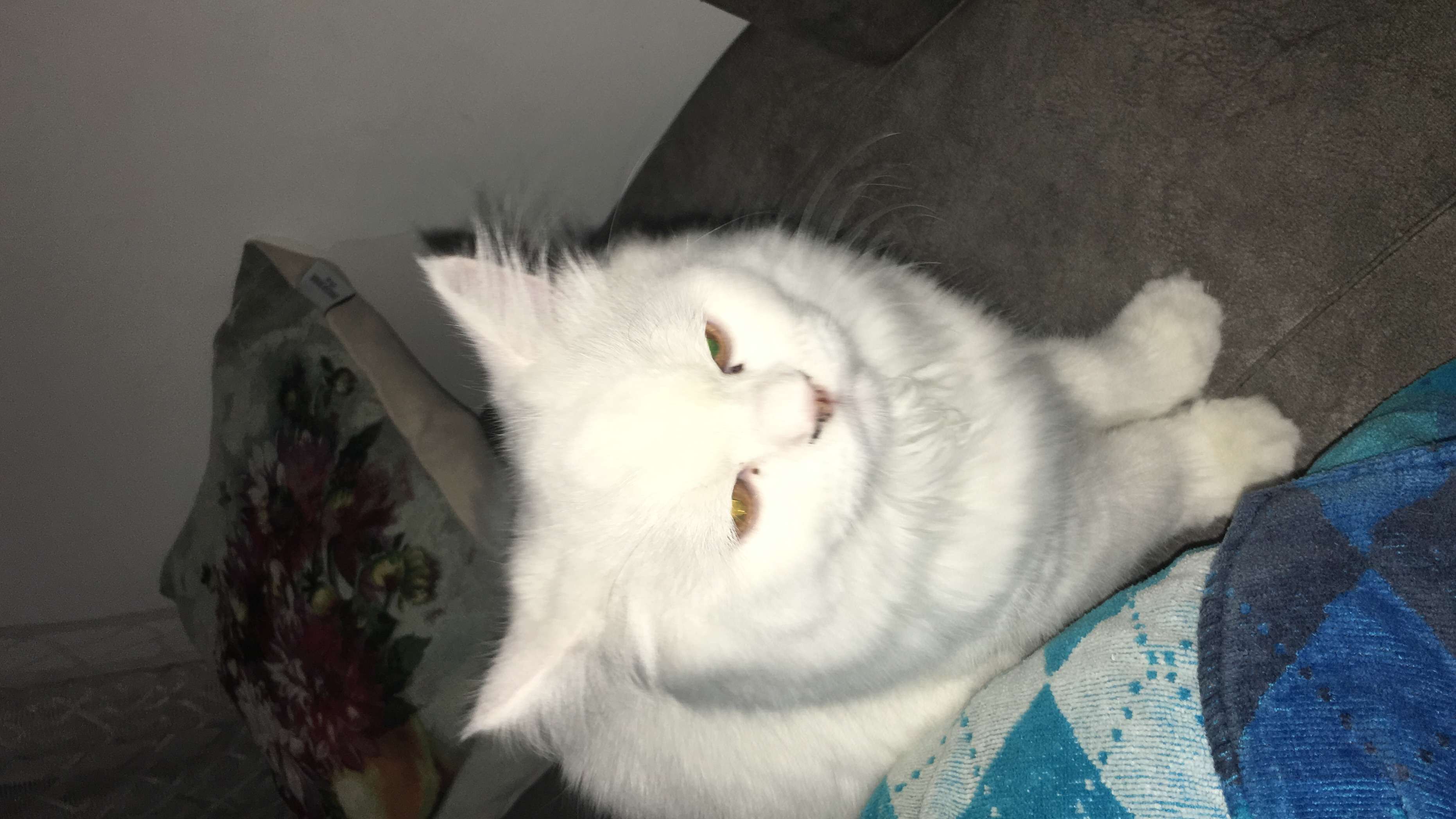 Kayıp 