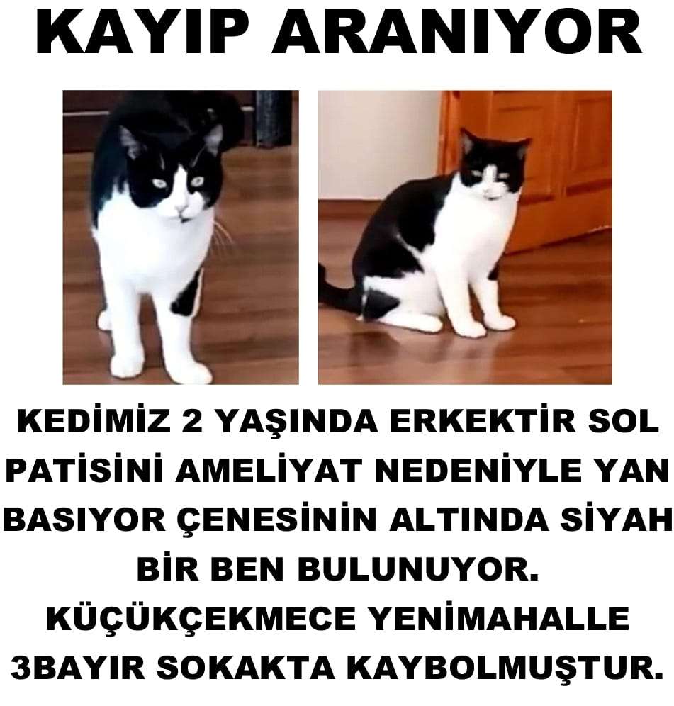 Can dostum oglum