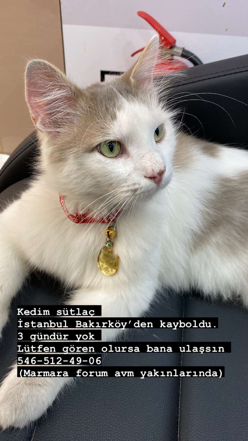 Kayıp